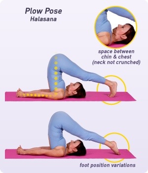 Image of how to do plow pose from yoga.isport.com